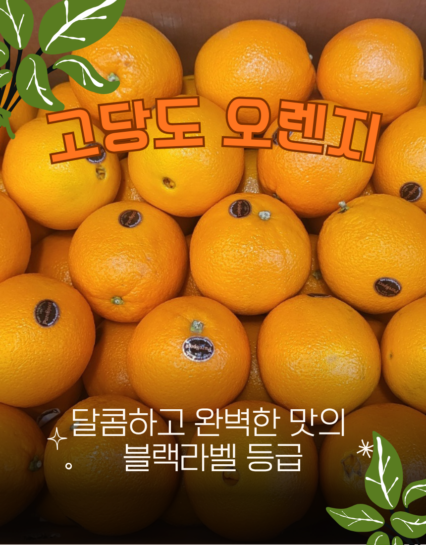 4511bd1db1841faddea6fc8aa63171f0_1778041687_5365.png