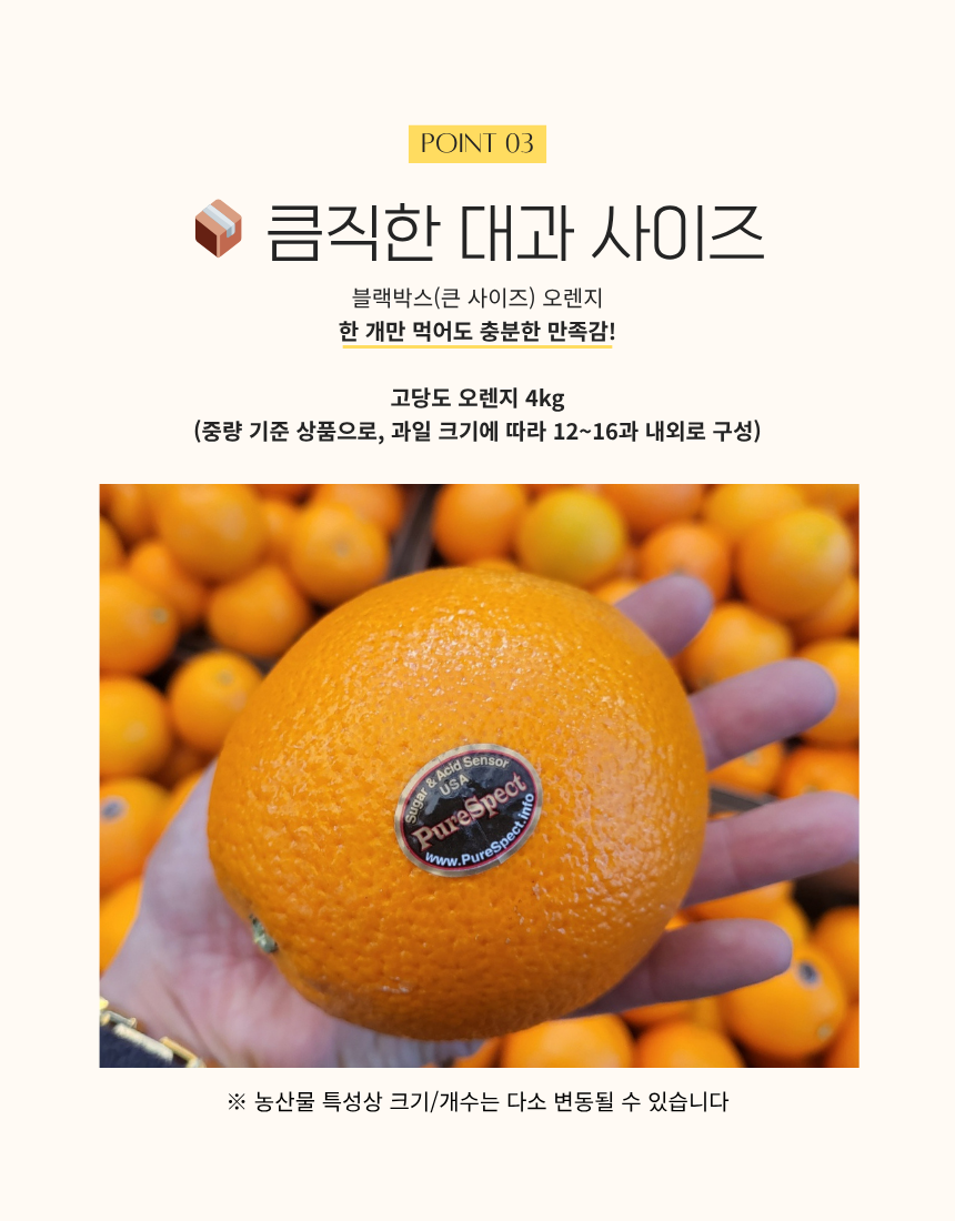 4511bd1db1841faddea6fc8aa63171f0_1778041688_0508.png