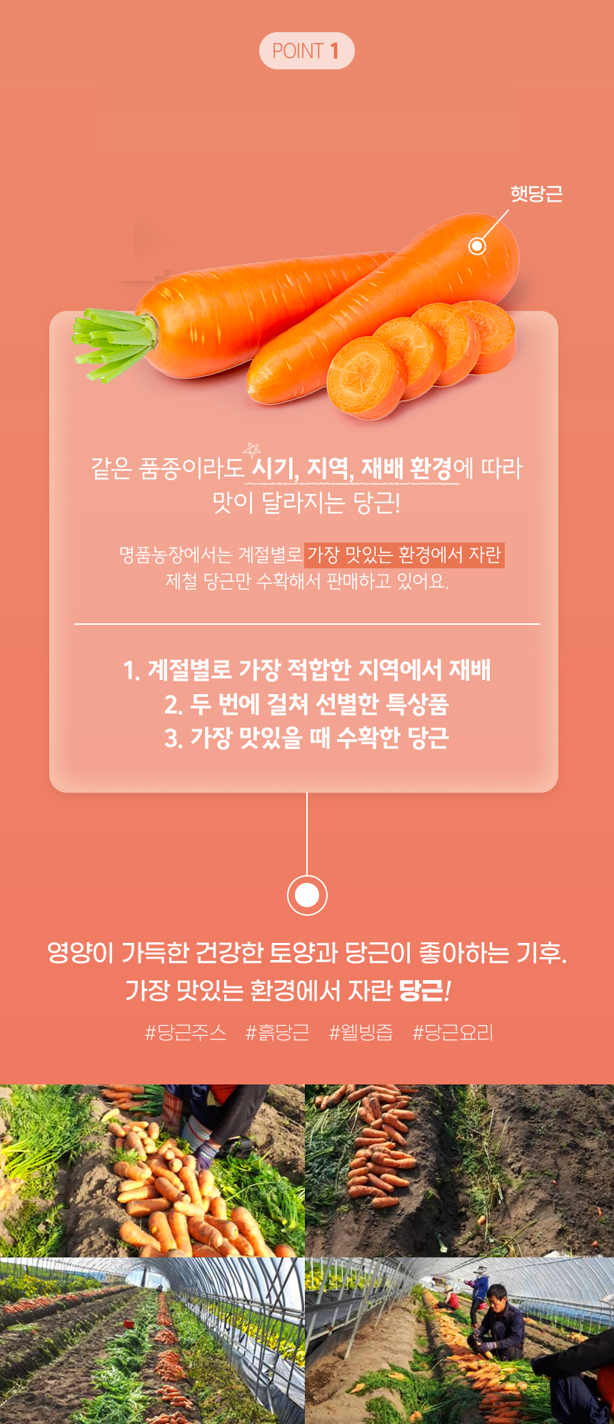 76f814ae9eef1ae3a8c9aa32018b1eab_1784099959_8488.jpg