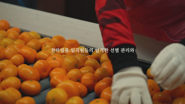 788a5f154ceaf98e07fa8d3a525a1edb_1783649596_4778.gif 788a5f154ceaf98e07fa8d3a525a1edb_1783649596_4778.gif