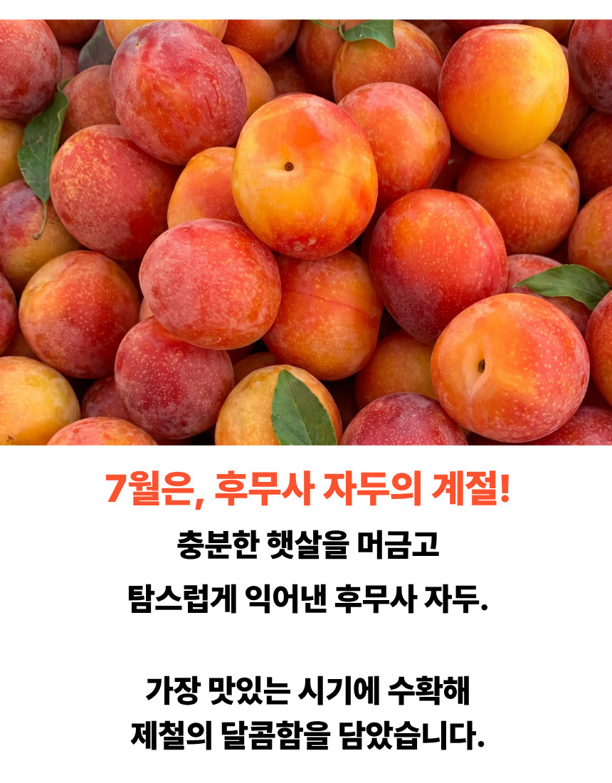 b112a1753fa2d89508bb798cb6c45645_1784263017_9144.png
