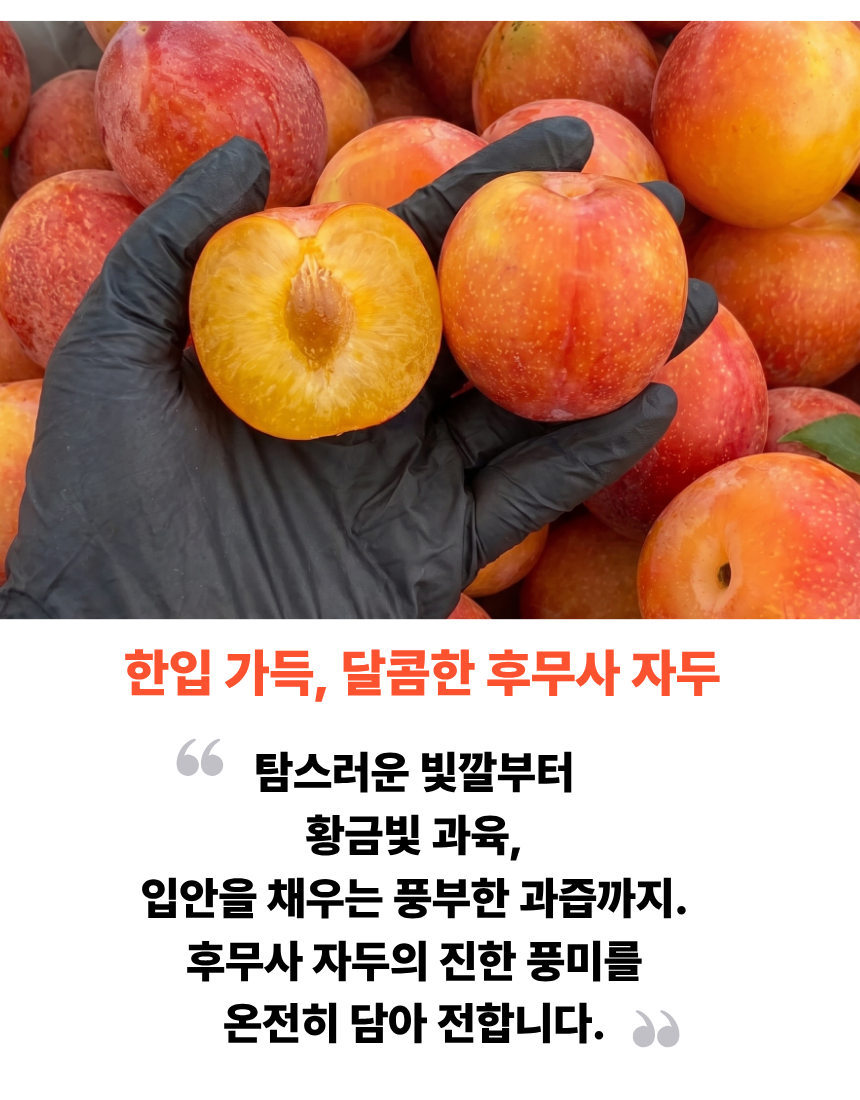 b112a1753fa2d89508bb798cb6c45645_1784263017_9941.png