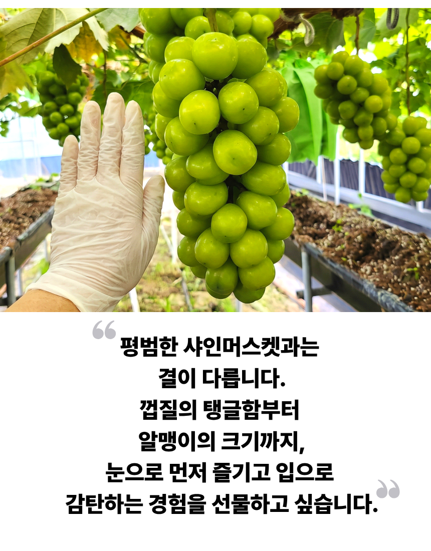 b112a1753fa2d89508bb798cb6c45645_1784276590_3619.png