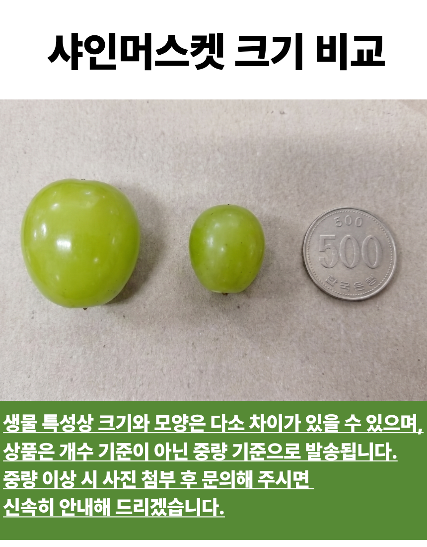 b112a1753fa2d89508bb798cb6c45645_1784276590_9859.png