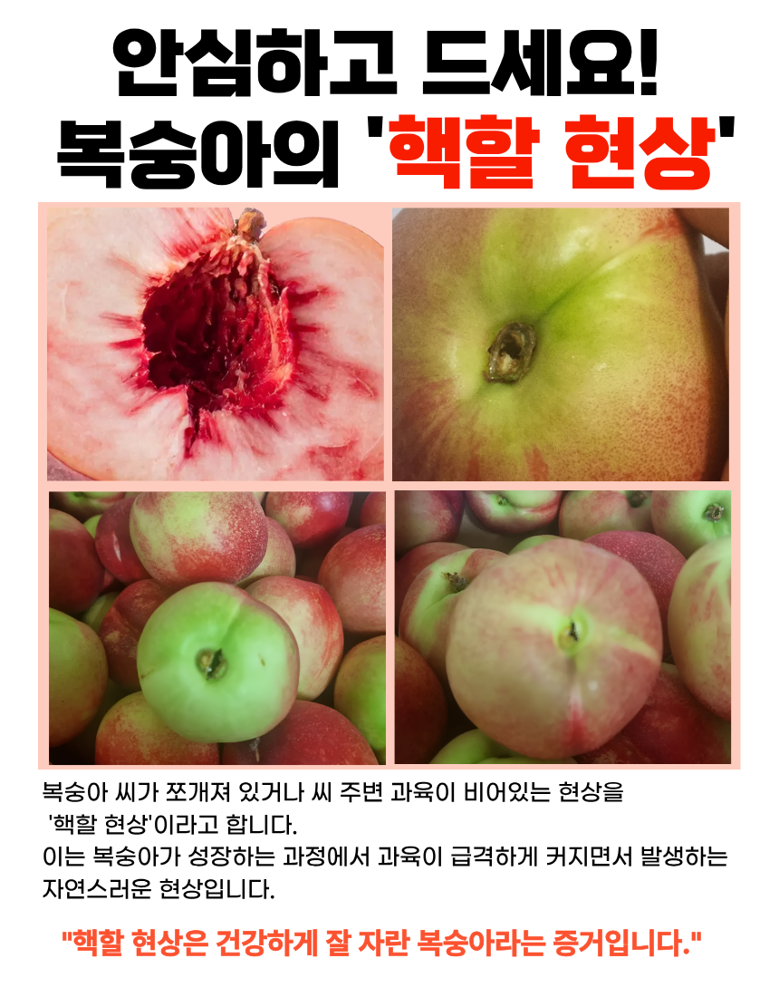 b112a1753fa2d89508bb798cb6c45645_1784276935_4082.png