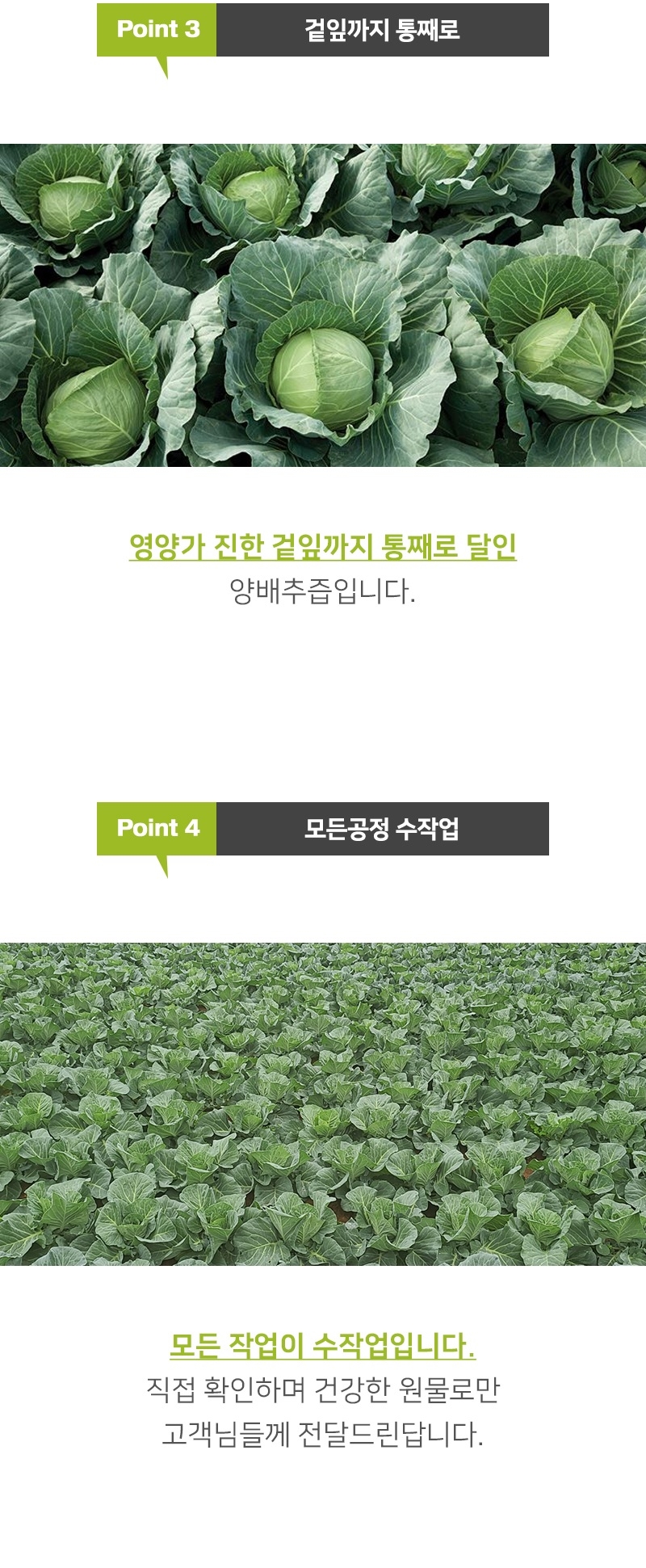 1de402f1fbe88a2dde560f5d51cf2dd6_1789631096_9577.jpg 1de402f1fbe88a2dde560f5d51cf2dd6_1789631096_9577.jpg