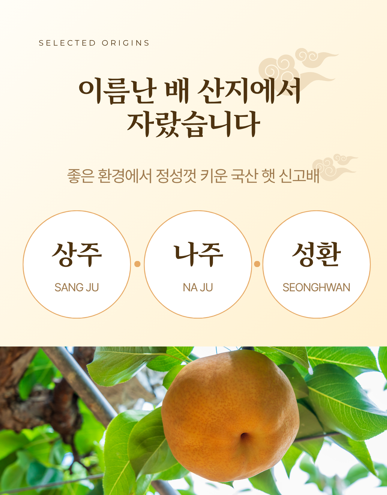 1e0e505c9af53b0ee94477e481f35299_1789462123_807.png 1e0e505c9af53b0ee94477e481f35299_1789462123_807.png