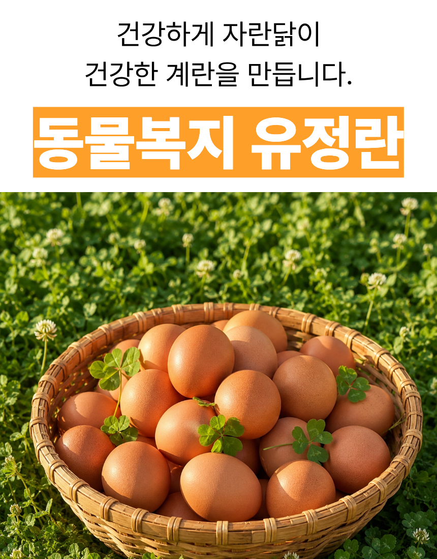 50517f0def5c566a0c07deb540ec36a9_1788501677_3105.png 50517f0def5c566a0c07deb540ec36a9_1788501677_3105.png