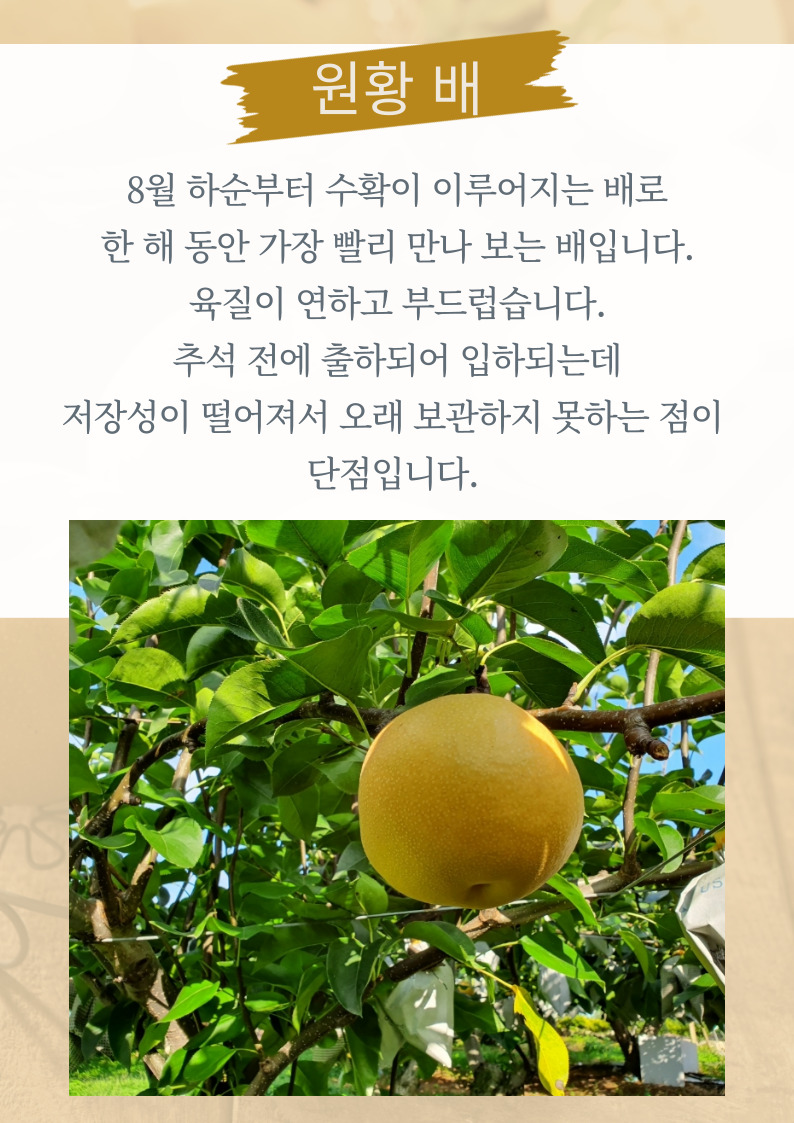 b7488d74570057c5d9506d6a1eccb709_1789366607_6675.jpg b7488d74570057c5d9506d6a1eccb709_1789366607_6675.jpg