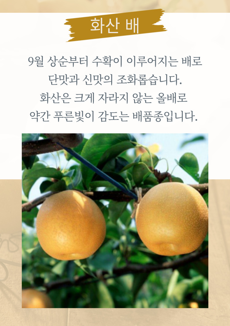 b7488d74570057c5d9506d6a1eccb709_1789366609_5025.jpg b7488d74570057c5d9506d6a1eccb709_1789366609_5025.jpg
