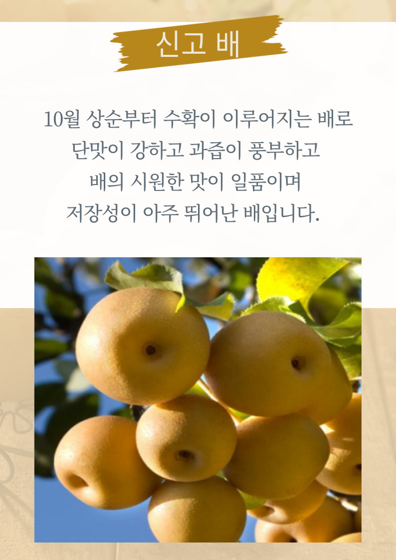 b7488d74570057c5d9506d6a1eccb709_1789366612_8534.jpg b7488d74570057c5d9506d6a1eccb709_1789366612_8534.jpg
