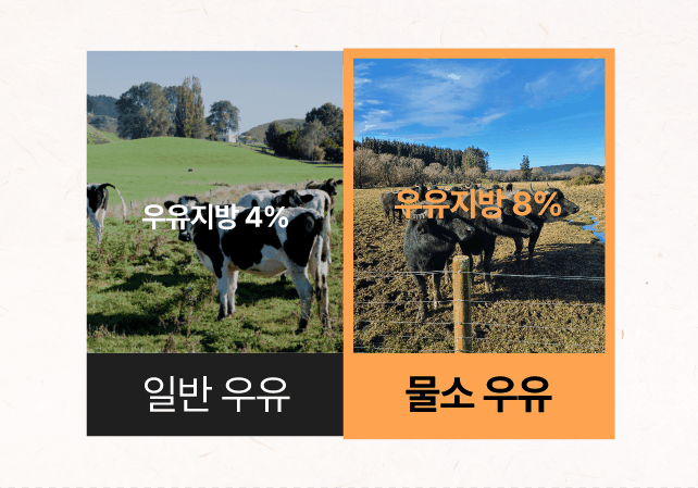 dbc53b89051274e521c33812b619fd27_1790167215_3268.gif dbc53b89051274e521c33812b619fd27_1790167215_3268.gif