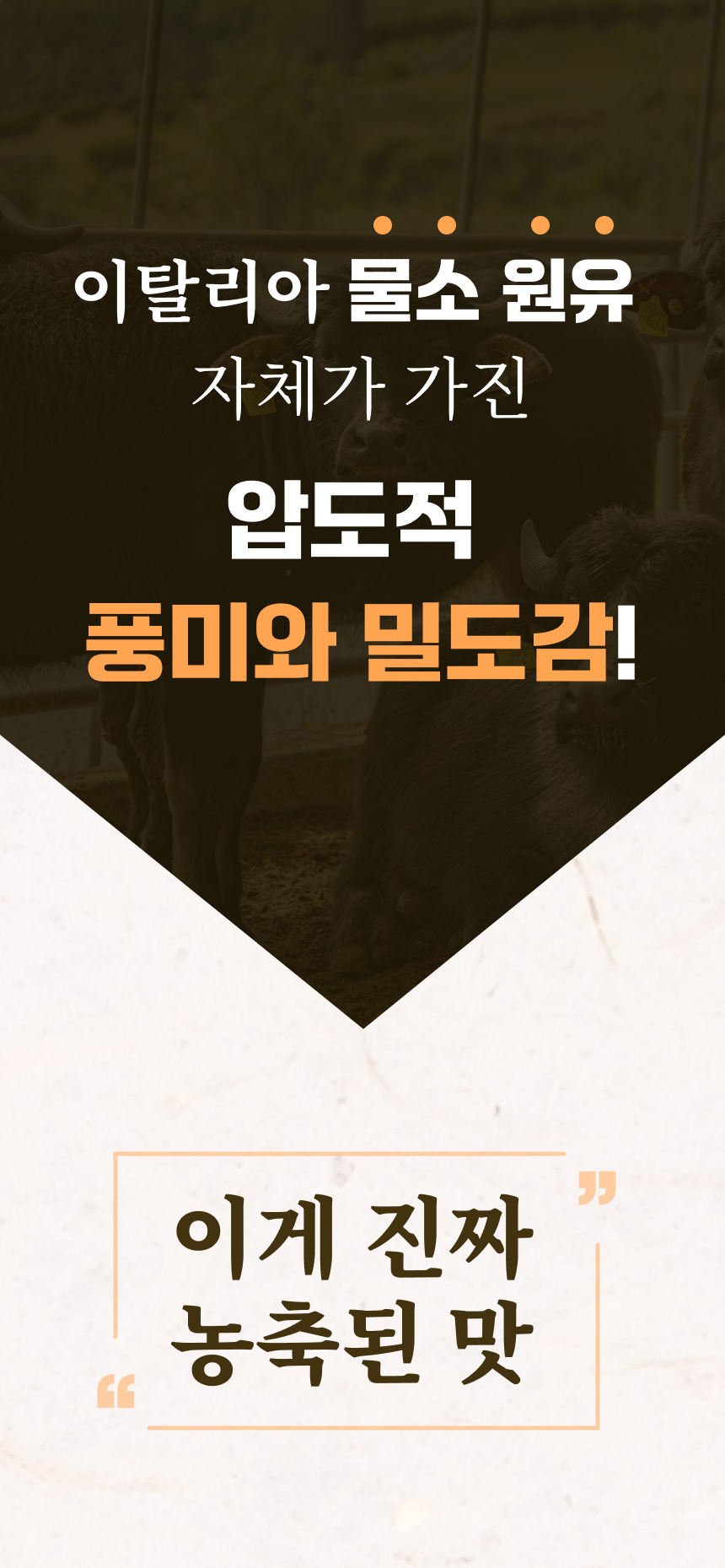 dbc53b89051274e521c33812b619fd27_1790167215_5618.png dbc53b89051274e521c33812b619fd27_1790167215_5618.png