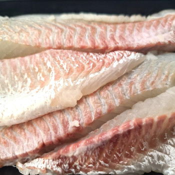 남해안 제철 자연산 참돔 필렛 400g 초장증정 (원물 1kg 당일 횟감)