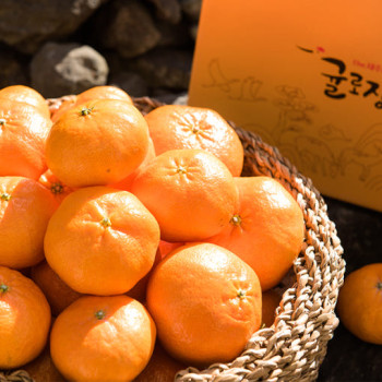 [누리는특가] *가격인하* 제주농협 제주 레드향 벌크 골라담기 2kg 4kg GAP인증