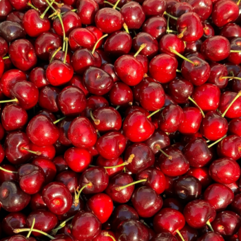 체리 300g/ 500g/ 1kg/ 2kg/ 2.5kg