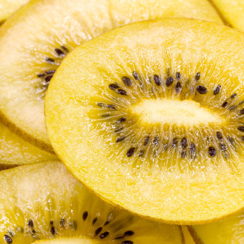 [산지직송] 제주 골드키위 특대 프리미엄 2kg/ 3kg /5kg