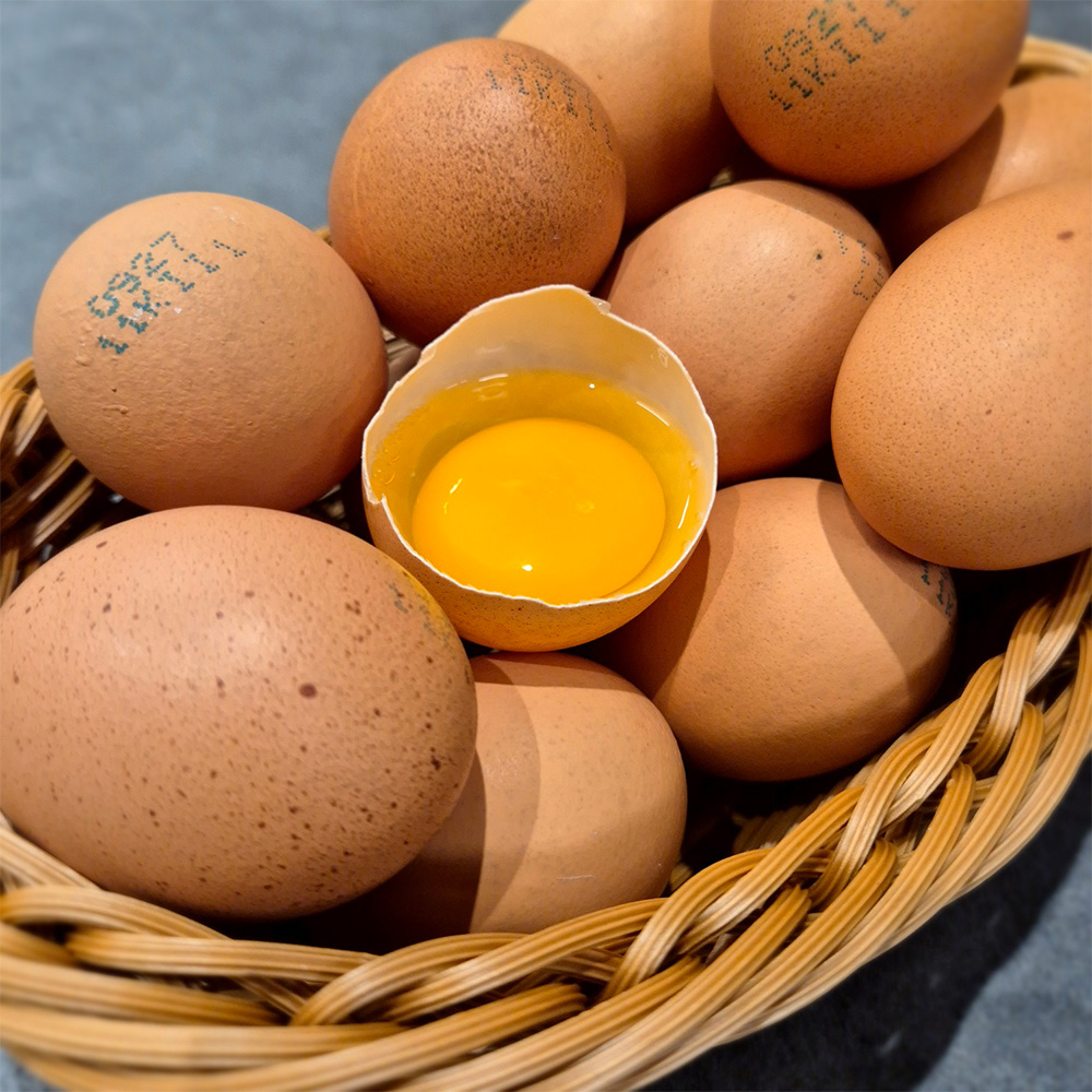 유정란 40구 난각번호 1번