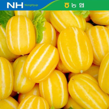 ★첫출하★[성주월항농협] 당도선별 꿀참외 [상/특_2kg-10kg]