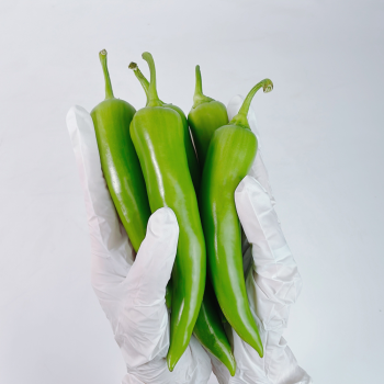 농가직송 국내산 혈당관리 당조절 당조고추 500g