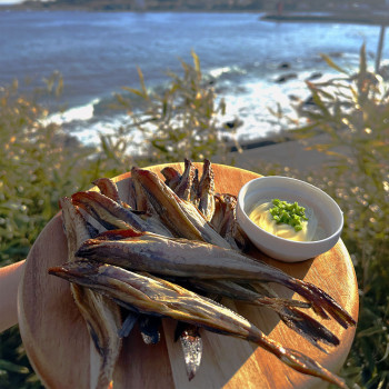 [누리는특가] ★주문폭주★ 반건조 조미 노가리 200g x 5팩 (50미) (냉동/러시아산)