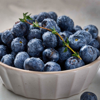 국산 새콤달콤 생 블루베리 생과 특대과 18~20mm