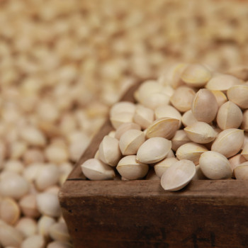 [산지직송] 국내산 피은행 깐은행  500g/ 1kg