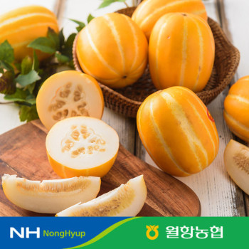 [10%적립] 당도보장 월항농협 성주참외 12brix 이상 골라담기(2kg, 3kg, 5kg, 10kg)