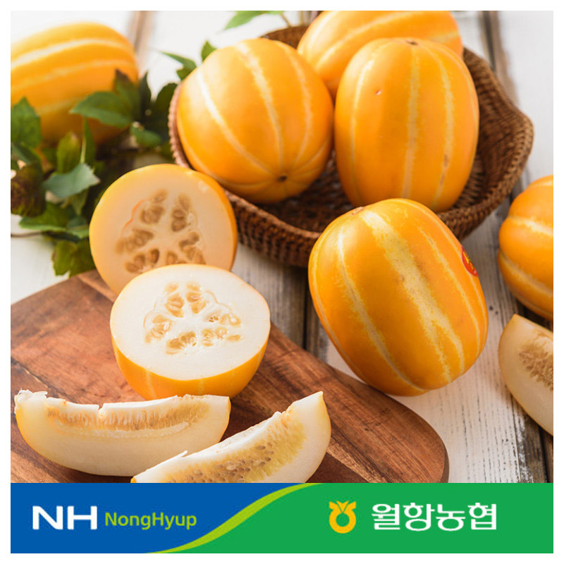 [10%적립] 당도보장 월항농협 성주참외 12brix 이상 골라담기(2kg, 3kg, 5kg, 10kg)