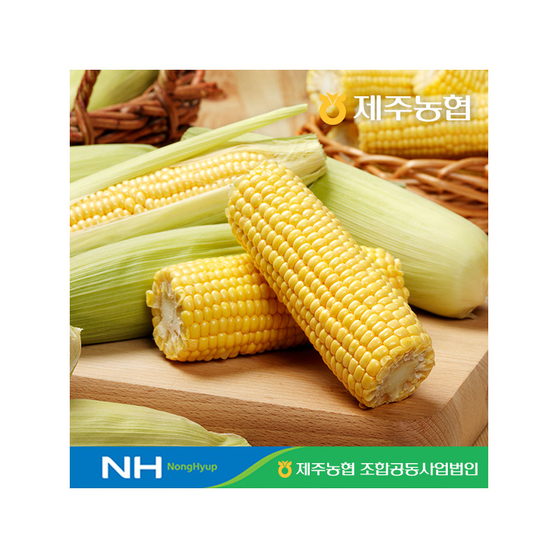 [10%적립] 당도보장 제주농협 정품 특품 초당옥수수(국산)  3kg/ 6kg (6월9일부터 출고)