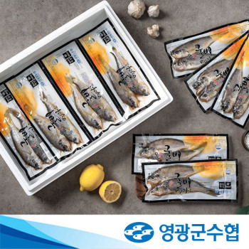 [영광군수협] 법성포 저염 진공굴비 1.4kg