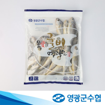 [영광군수협] 법성포 저염 가정용 굴비 20미