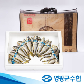 [영광군수협] 법성포 저염 선물용 굴비 20미 + 부직포가방
