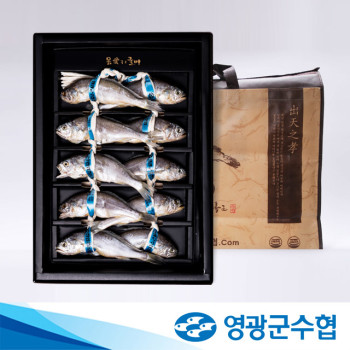 [영광군수협] 법성포 선물용 특대 명품 굴비 10미[부직포가방]
