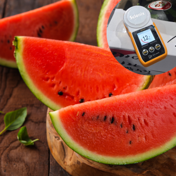 11~12브릭스 시원하고 달달한 고당도 수박 7kg 1통