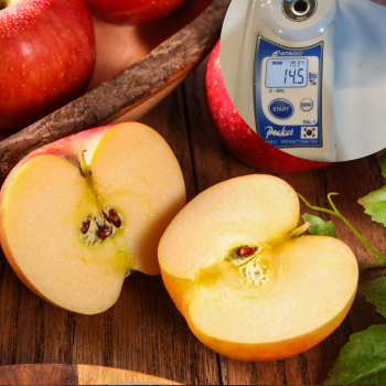 14brix 고당도 사과 부사 1.4kg/2kg/4kg (정품/선물세트/알뜰 선택)