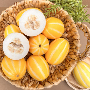 (고당도 정품) 성주 참외 로얄과 (중과) (개별망 포장) 달고달고달아