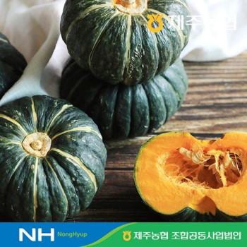 [10%적립] 제주농협 햇살바람 햇 미니단호박 골라담기 (3, 5, 7kg)
