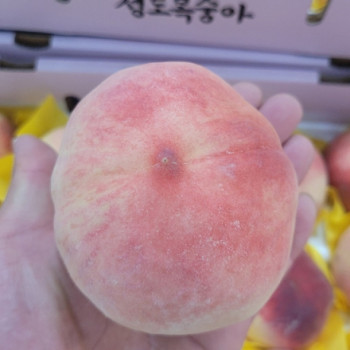 [첫출하_햇노지] 아삭 달달한_딱딱이 복숭아 [2kg/4kg]