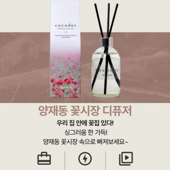 코코도르 퍼퓸 디퓨저 양재동꽃시장 향 디퓨저 200ml