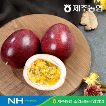 [10%적립] 제주농협 패션후르츠 백향과 1.5kg 중과 대과