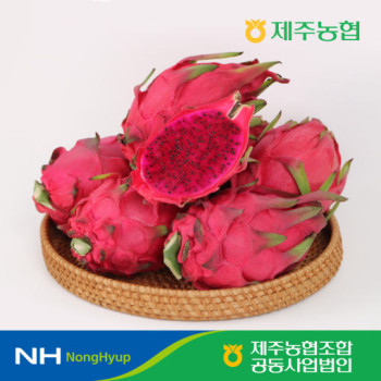 [10%적립] ★단독특가★ 제주농협 국산 제주 홍용과 3kg(6-11수)