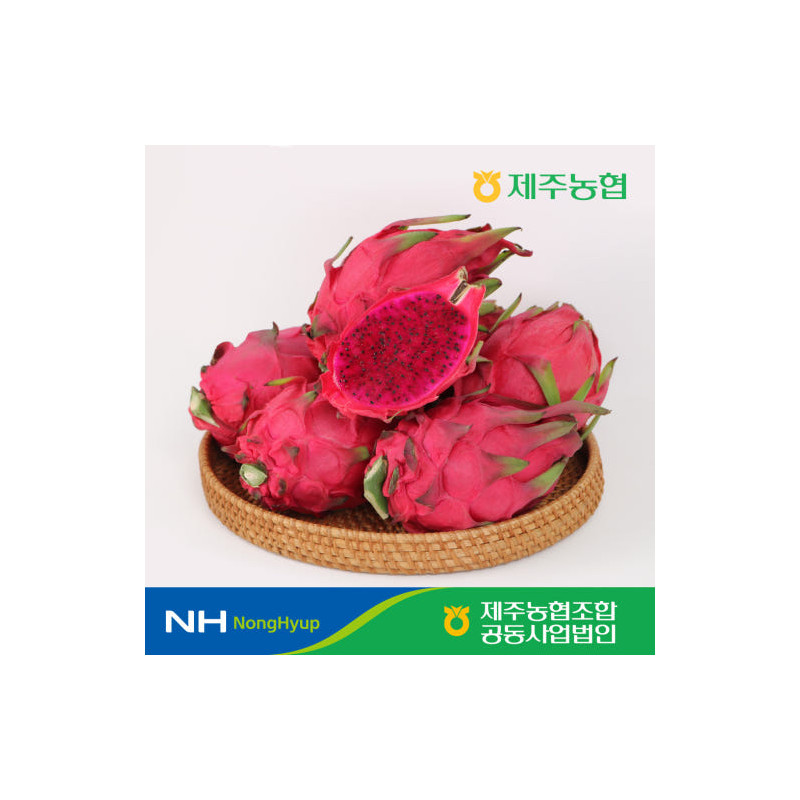 [10%적립] ★단독특가★ 제주농협 국산 제주 홍용과 3kg(6-11수)