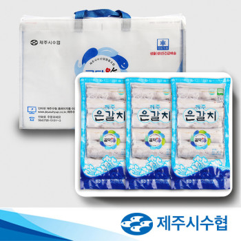 제주시수협 선물세트 명품 제주 은갈치(상) 500g x 3팩