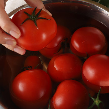 단단하고 싱싱한 완숙 토마토 2kg/5kg