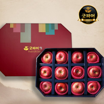 [굿파머] 8각 실속 사과 선물세트 (3.3kg/사과12과)