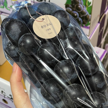 [프리미엄 포도]국내산 18brix이상 고당도 충랑포도 1.2kg/2kg 거봉/캠벨포도