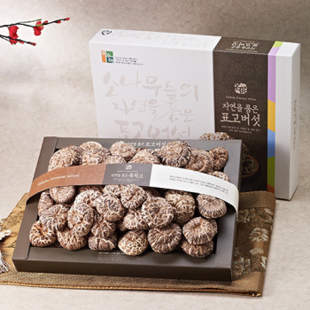 [강원도 설악산] 마수아 흑화고세트 400g / 500g 택1