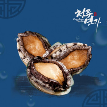[25추석][완도 프리미엄] 활전복 선물세트 [1.0kg-2kg]