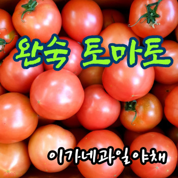 [이가네과일야채] 완숙토마토 2kg내외~4kg내외